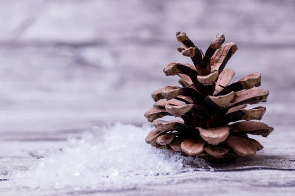 Fir Cone Snow Background — Stock Photo, Image