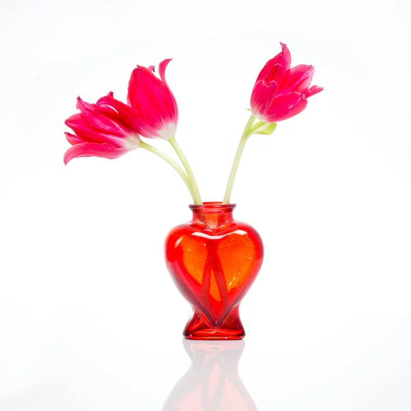 Drei Rote Tulpen Einer Herzförmigen Glasvase Isoliert Auf Weiß — Stockfoto
