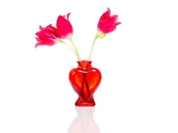 Trois Tulipes Rouges Dans Vase Verre Forme Coeur Isolé Sur — Photo