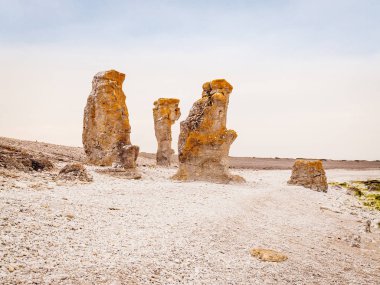 Rauks kireçtaşı oluşumları Gotland, İsveç