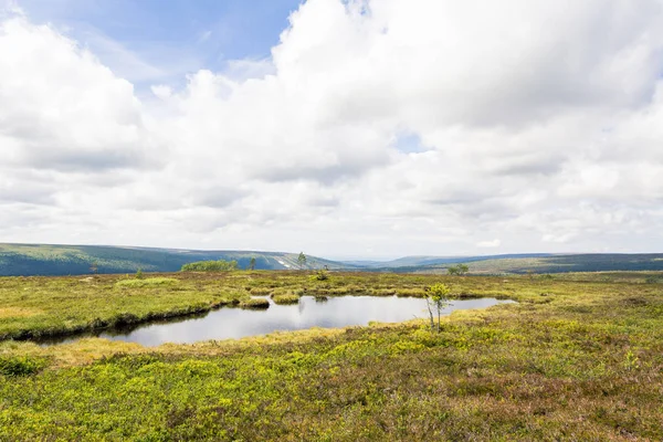 View Swedish Mountains Background — Stock Photo, Image