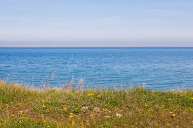 yatay çizgiler yeşil çimen, mavi gökyüzü ve okyanus doğa arka plan