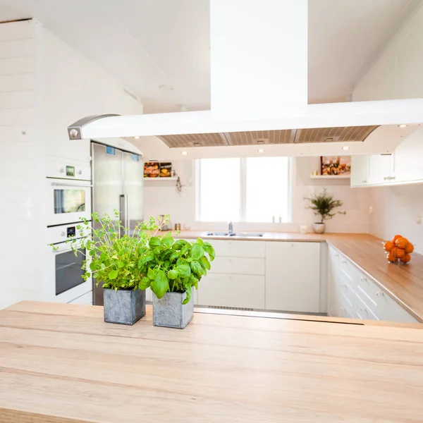 Herbal Segar Meja Dapur Dengan Interior Dapur Latar Belakang — Stok Foto