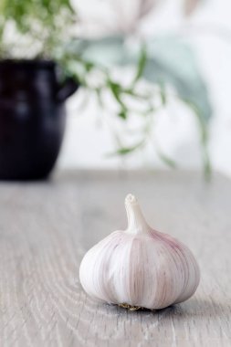 ot içinde belgili tanımlık geçmiş tablo taze sarımsak