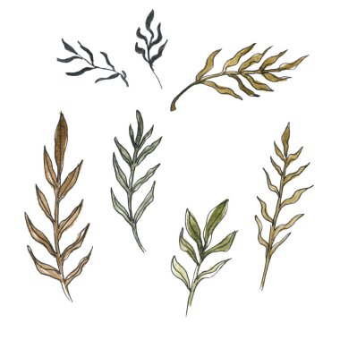 Sulu boya küçük resim grafik tasarım için