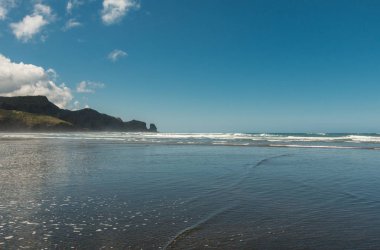  Görünüm kıyı şeridi Bethells Beach kayalıklarla ve ağaçları, Auckland, North Island, Yeni Zelanda yakınındaki Te Henga ile