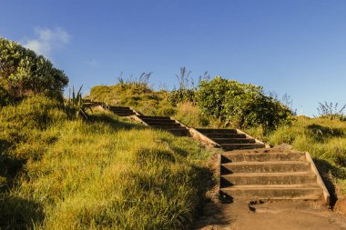 Muriwai beach, Auckland, Yeni Zelanda yakınındaki merdiven görünümünü