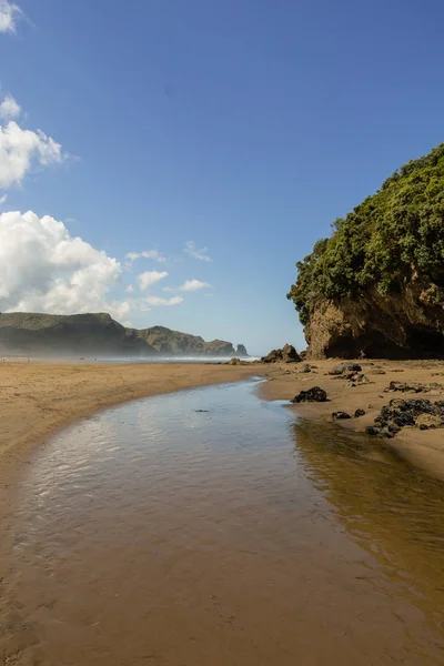 Ver Costa Bethells Beach Henga Cerca Auckland Isla Norte Nueva — Foto de Stock