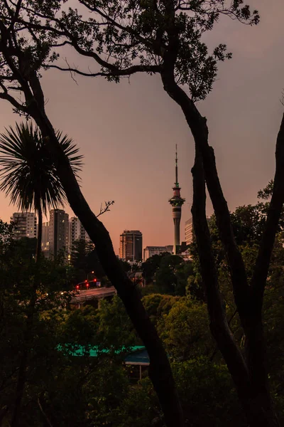 View of cityscape with skytower from Domain park at sunset, Auckland, New Zealand
