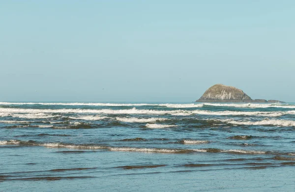 바다와 Henga 오클랜드 뉴질랜드 근처의 — 스톡 사진