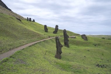 Moai heykeller Paskalya Adası, Şili