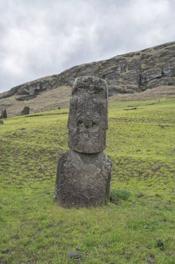 Moai heykeller Paskalya Adası, Şili