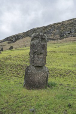 Moai heykeller Paskalya Adası, Şili