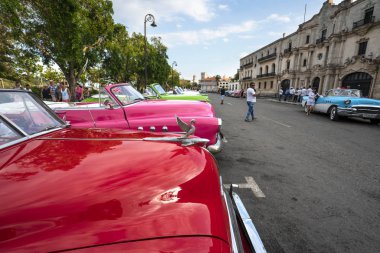 La Habana, Cuba - Kasım 26 2017: taksi şoförleri yakınındaki mesire Havana'nın bir sonraki müşteri için bekliyor.