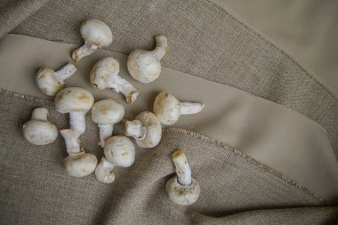 Çiğ beyaz mantar champignon