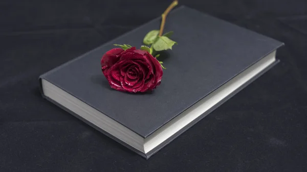 Białej Róży Notebooków — Zdjęcie stockowe