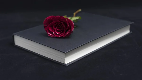 Beyaz gül ve dizüstü