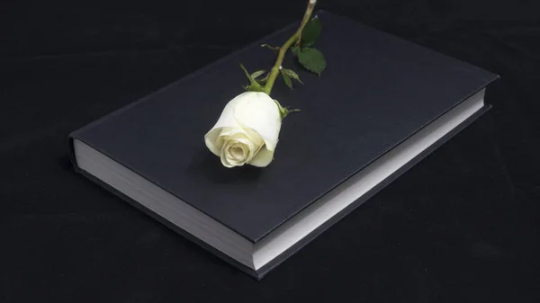 Beyaz gül ve dizüstü