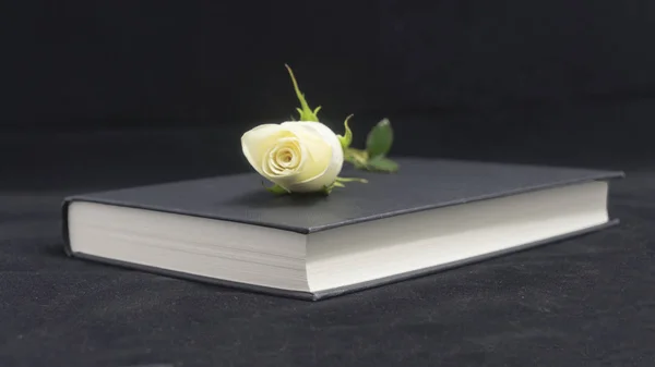 Beyaz gül ve dizüstü