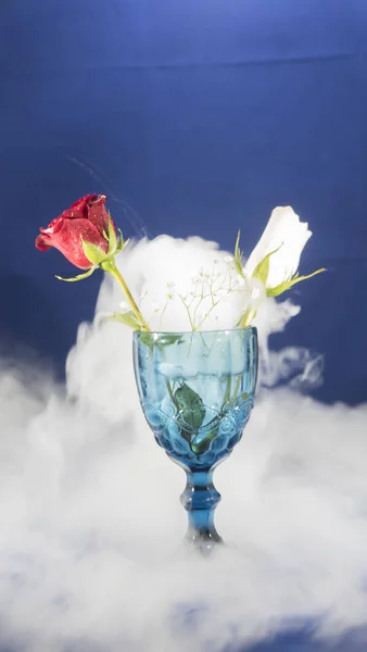 beyaz duman cam bard akan