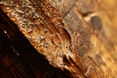 Arka plan arka tabanda kullanılan.