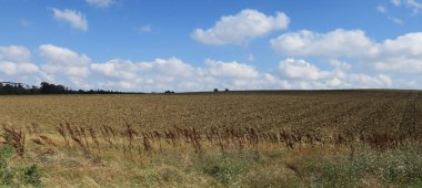 büyük bir arazidir. Çatalca, Hizm, Türkiye