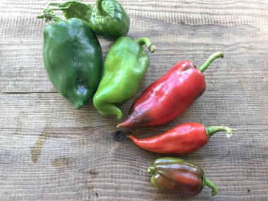 Yemek için toplanan taze biber.