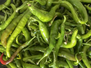 Yemek için toplanan taze biber.