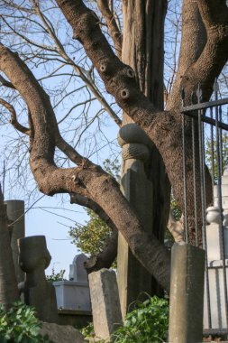 Antik mezar taşı, Osmanlı dönemi, Türkiye