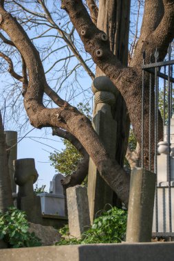 Antik mezar taşı, Osmanlı dönemi, Türkiye