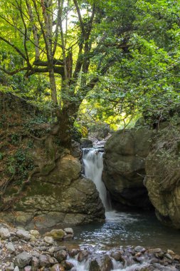 Yedi Göller Milli Parkı, sonbahar, Türkiye