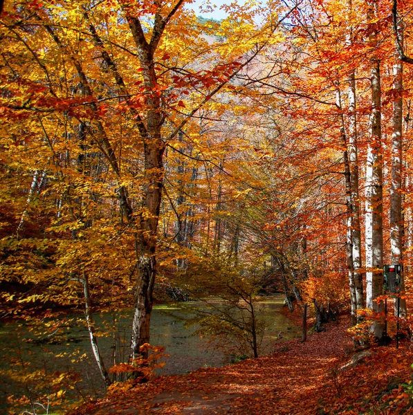 Sieben Seen Nationalpark Herbst Türkei — Stockfoto