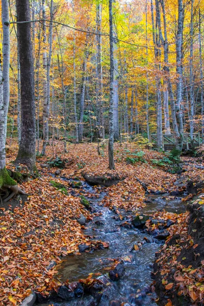 Seven Lakes National Park Outono Turquia — Fotografia de Stock