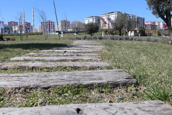 Çim üzerinde bahçe yolu