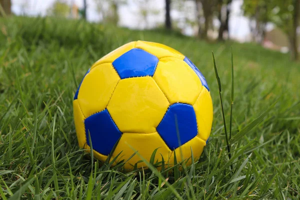 Желтый Синий Футбольный Мяч Траве — стоковое фото