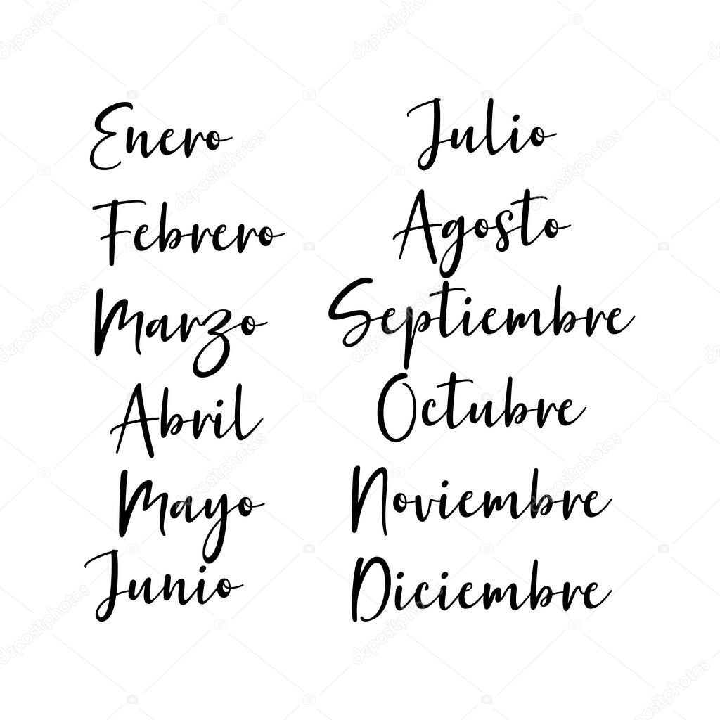 Hand Lettered Months of the Year in Spanish. Lettering for Calendar, Organizer, Planner