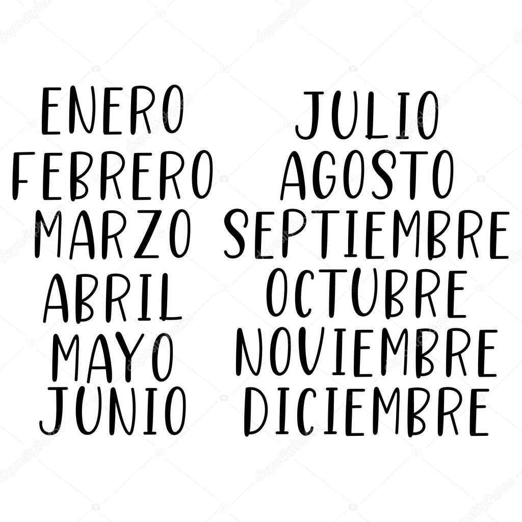 Hand Lettered Months of the Year in Spanish. Lettering for Calendar, Organizer, Planner