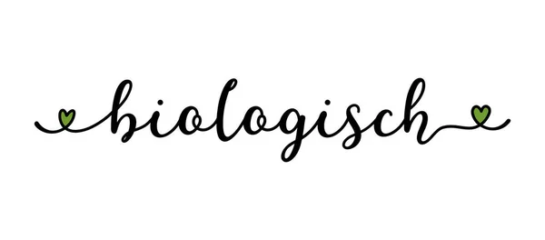 Kézzel rajzolt Biologisch szó németül banner vagy logó. Lefordított Organic. Fejléc, címke, poszter, hirdetés, reklám — Stock Vector