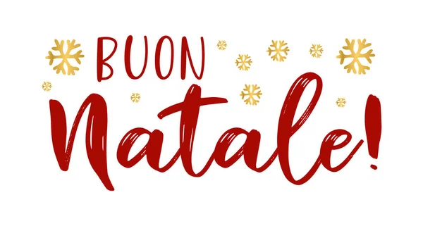 Buon Natale citazione in italiano come logo o intestazione. Tradotto Buon Natale. Celebrazione Lettering per poster, biglietto, invito. — Vettoriale Stock
