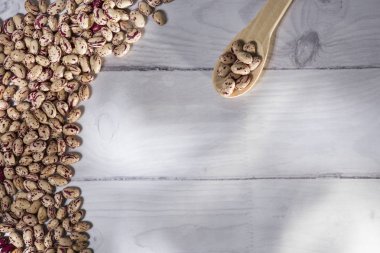 Phaseolus vulgaris kızılcık grup-fasulye cargamanto metin için boş alan ile