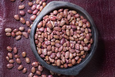 Phaseolus vulgaris kızılcık grubu - fasulye çeşitli uribe pembe