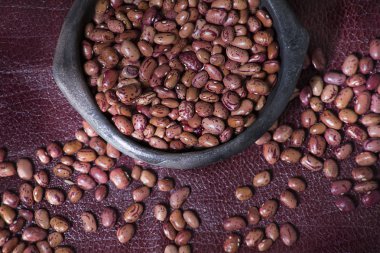 Phaseolus vulgaris kızılcık grubu - fasulye çeşitli uribe pembe