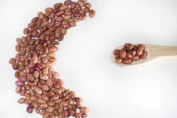 Çeşitleri kırmızı fasulye Phaseolus vulgaris kızılcık grup - uribe beyaz arka plan ve metin için yer