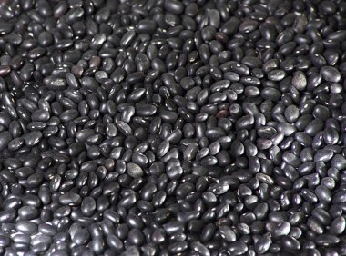 Arka plan doku için cargamanto çeşitli caraoca - siyah - fasulye Phaseolus vulgaris kızılcık Grup-