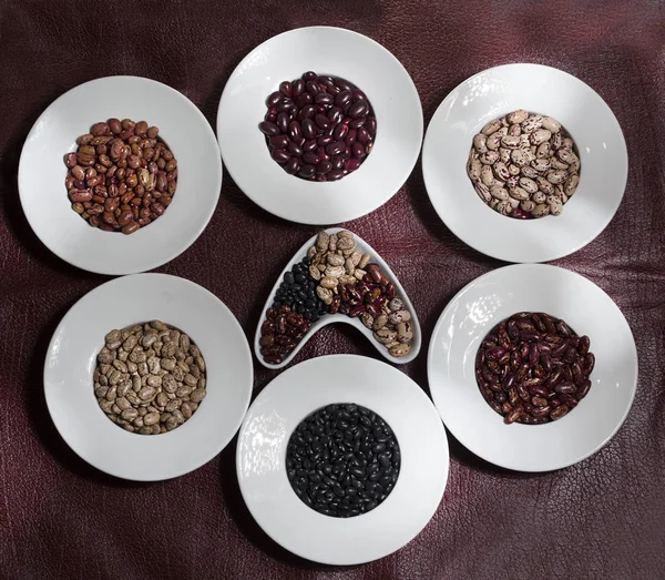 Phaseolus vulgaris kızılcık grubu - fasulye çeşitleri cargamanto üstten görünüm