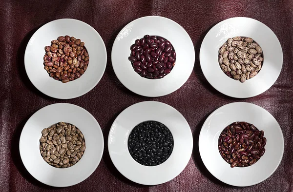 Phaseolus vulgaris kızılcık grubu - fasulye çeşitleri cargamanto üstten görünüm