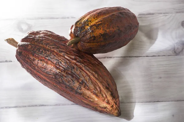 Beyaz ahşap arka plan üzerinde izole Theobroma kakao-kakao bakla