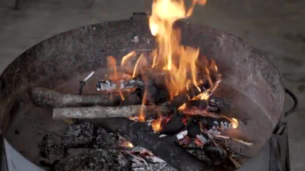 Kolen Brand Voor Barbecue — Stockvideo