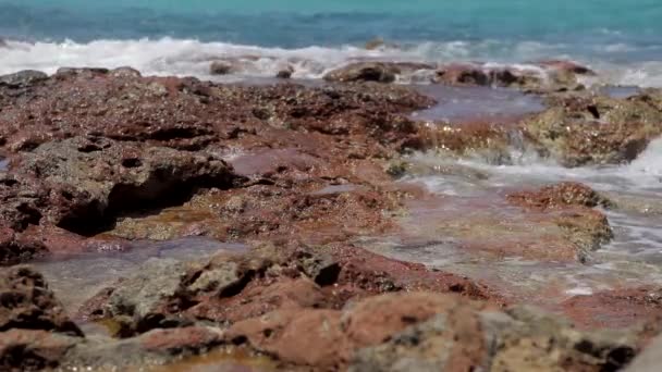 Cala Comte Ibiza Playa Imagen Nivel Del Suelo Una Cala — Vídeo de stock