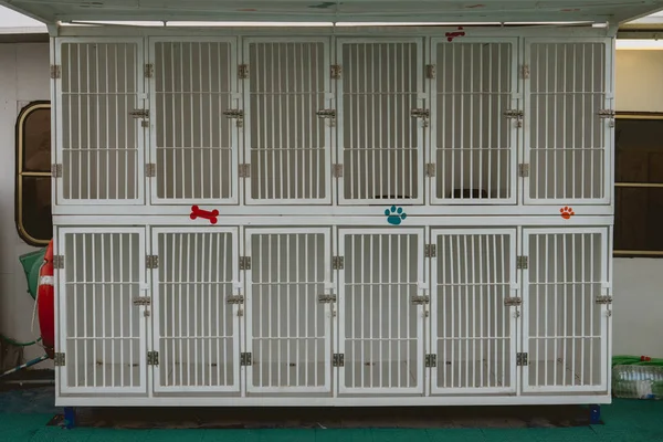 Köpekler bir tekne taşımak için boş kafesleri